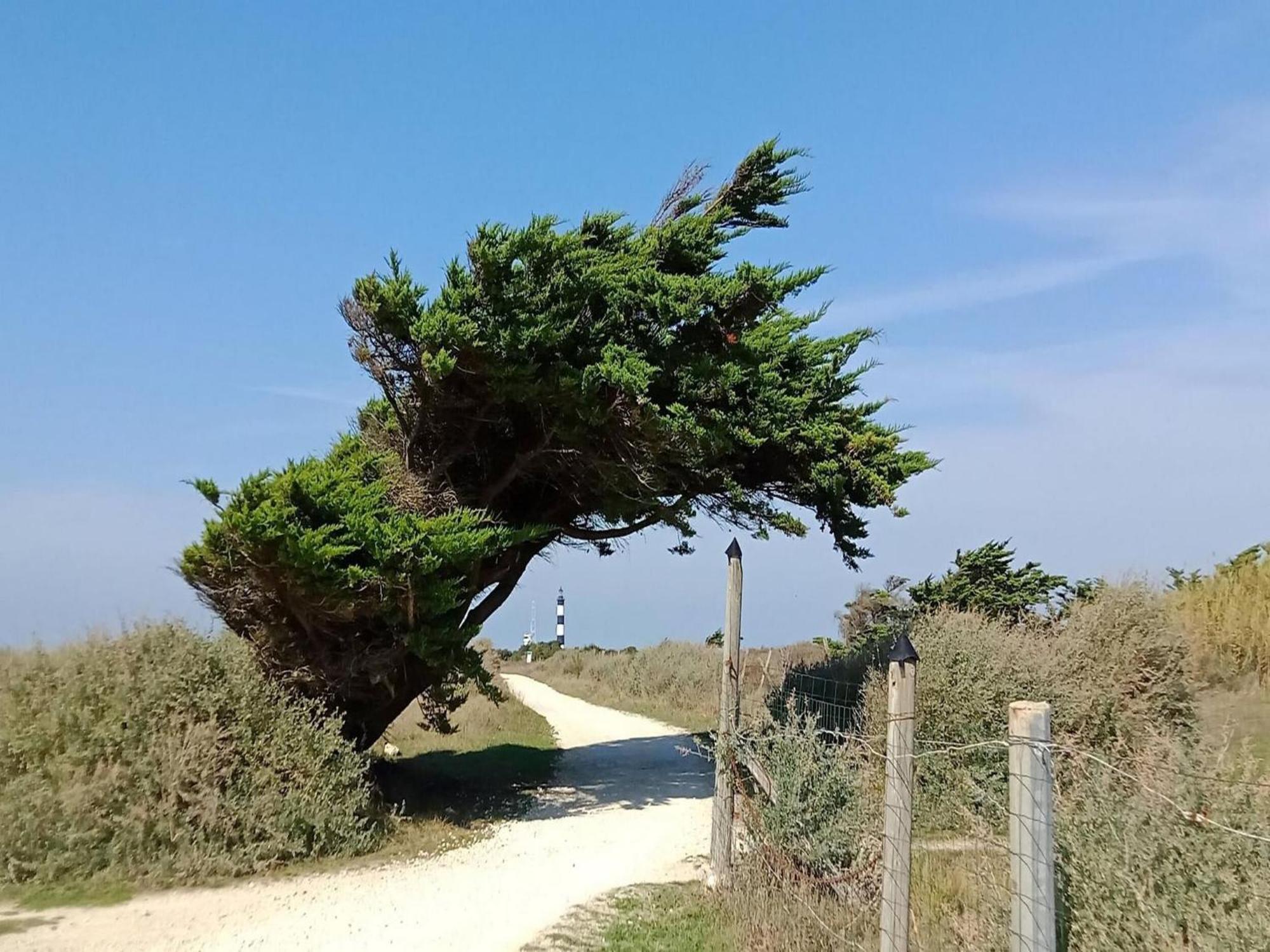 Les Hameaux Des Sables Vignie Saint Georges D Ol Ron Holiday Home Not Detached Eksteriør bilde