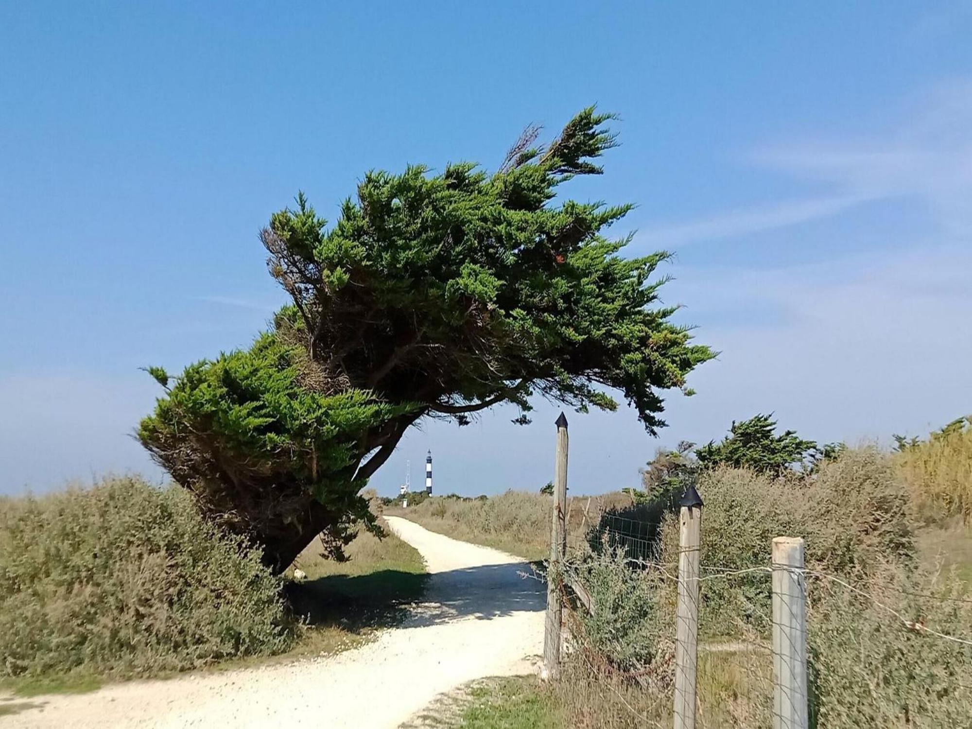 Les Hameaux Des Sables Vignie Saint Georges D Ol Ron Holiday Home Not Detached Eksteriør bilde