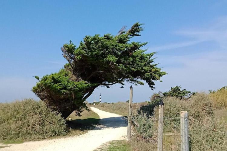 Les Hameaux Des Sables Vignie Saint Georges D Ol Ron Holiday Home Not Detached Eksteriør bilde